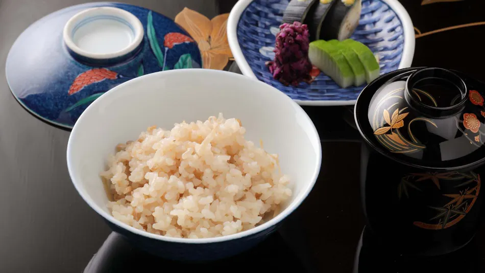 UNZEN HANZUIRYO