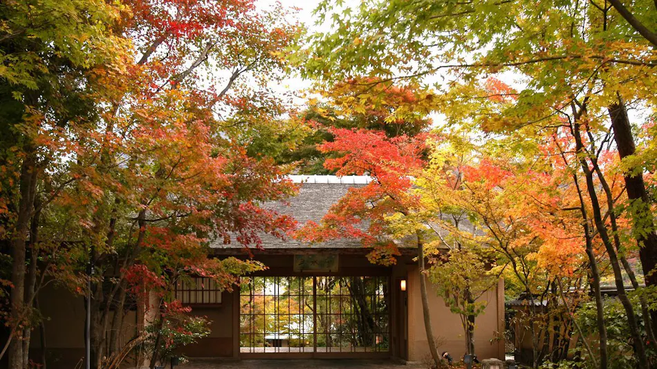 UNZEN HANZUIRYO