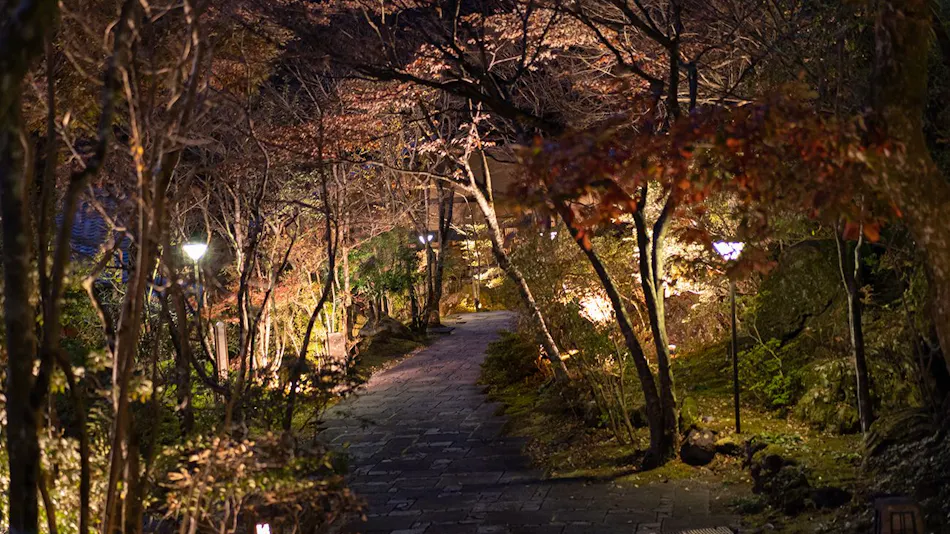 UNZEN HANZUIRYO