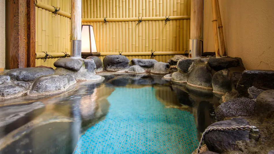 Hotel Green Plaza Hakone