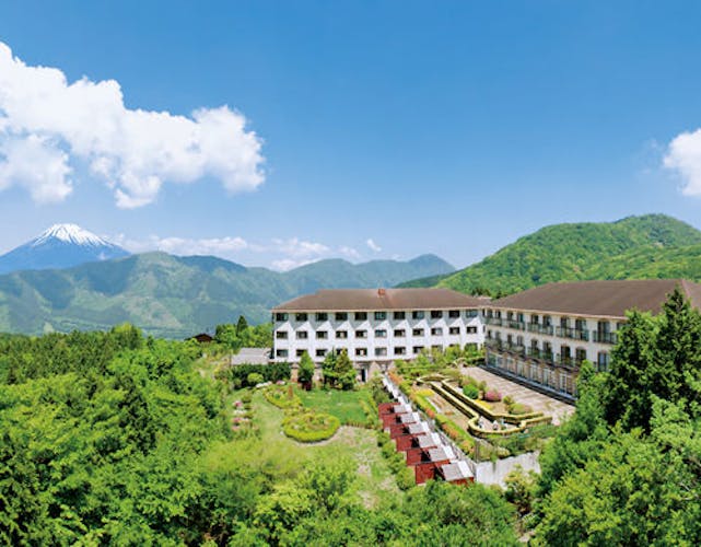 ããã«ã°ãªã¼ã³ãã©ã¶ç®±æ ¹