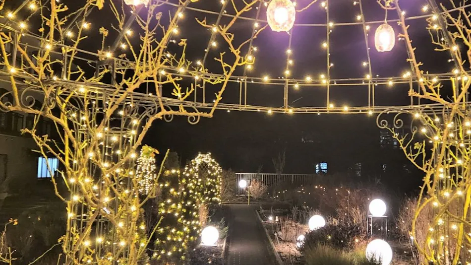 Hotel Green Plaza Hakone