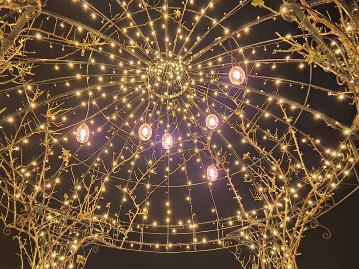 แสงไฟในคืนพระจันทร์