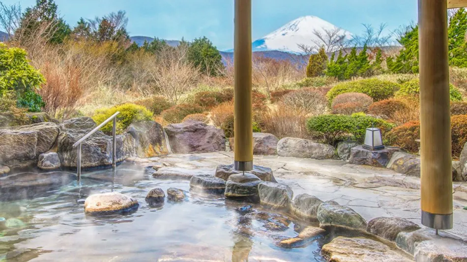 Hotel Green Plaza Hakone
