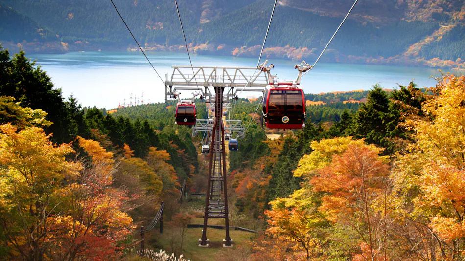 Hotel Green Plaza Hakone