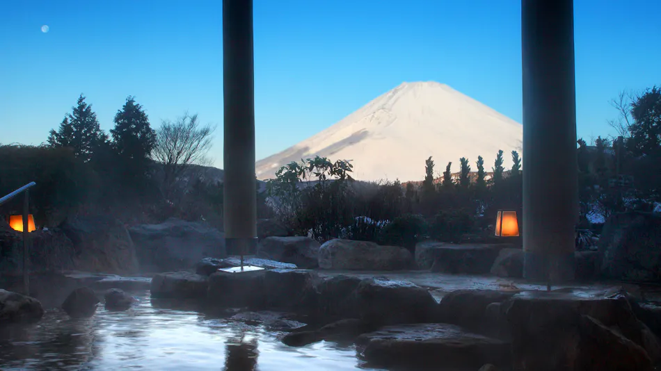 Hotel Green Plaza Hakone