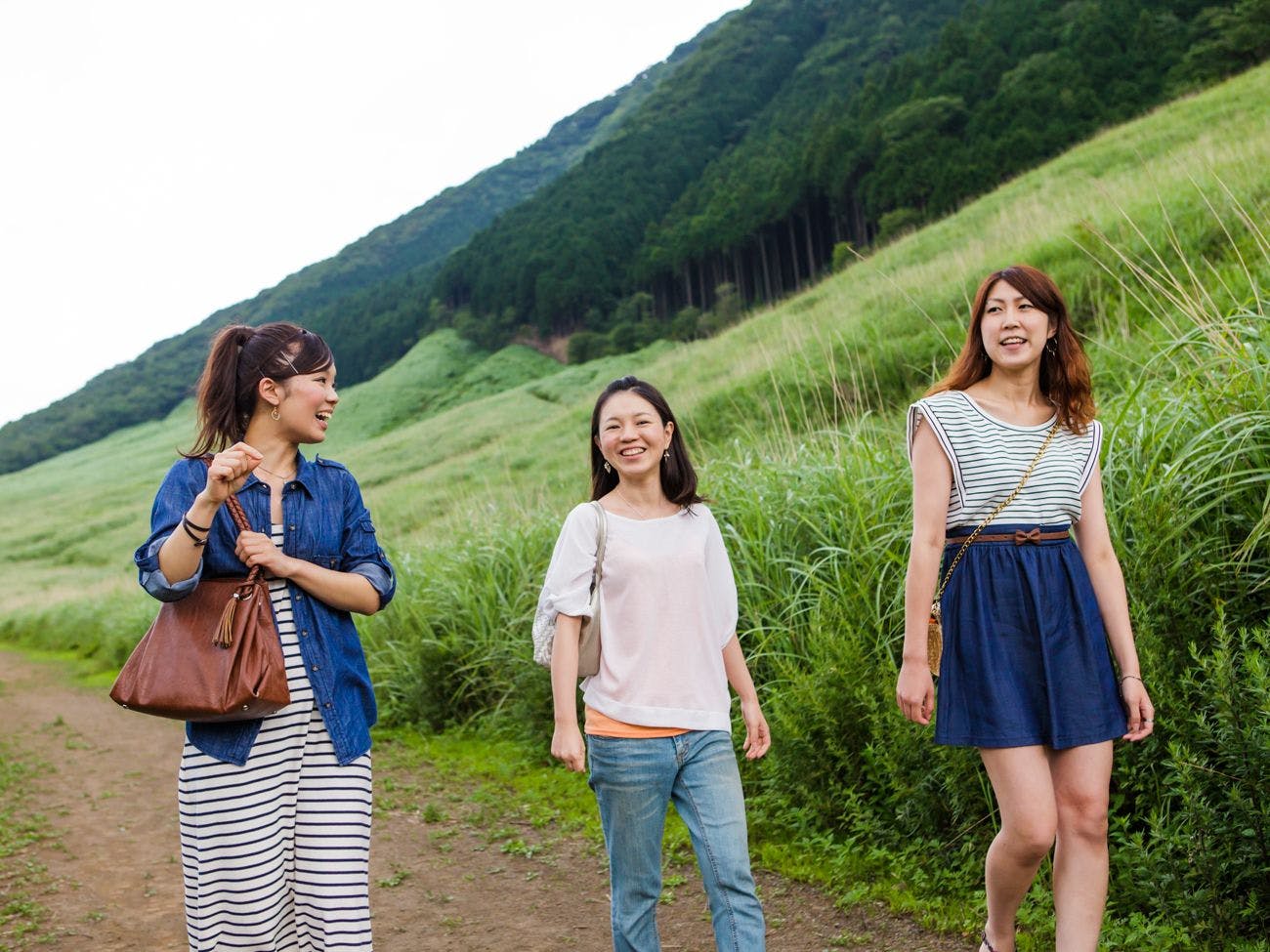 ทุ่งหญ้าสุสุกิ