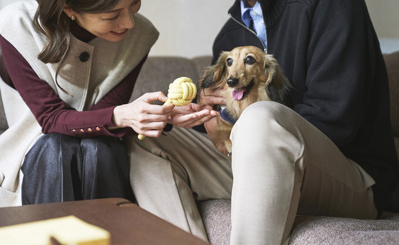 ドッグフレンドリールーム
