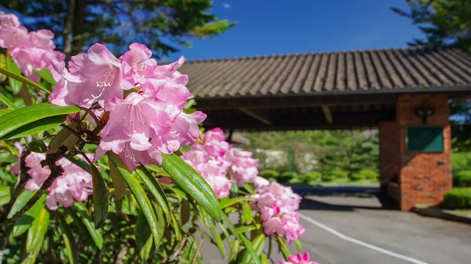 Tsumagoi Prince Hotel