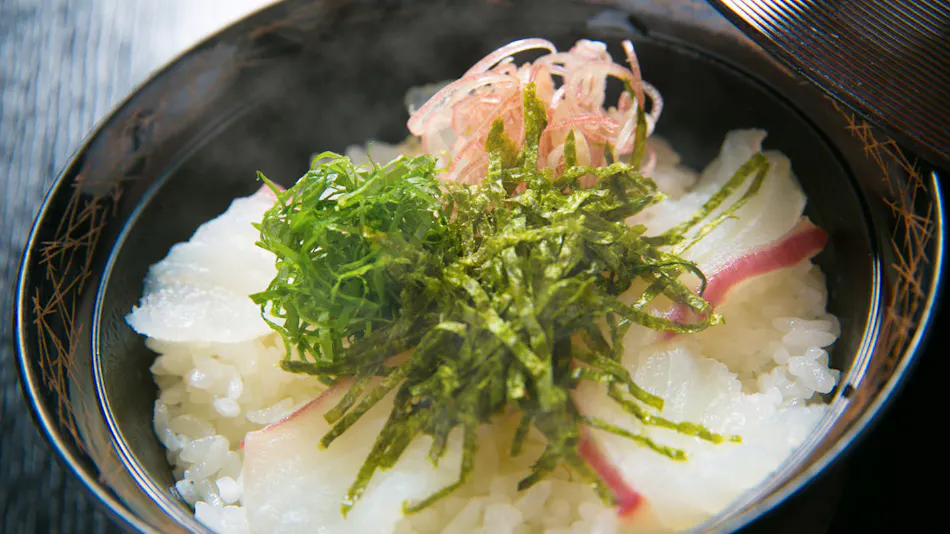 Ibusuki Shusuien