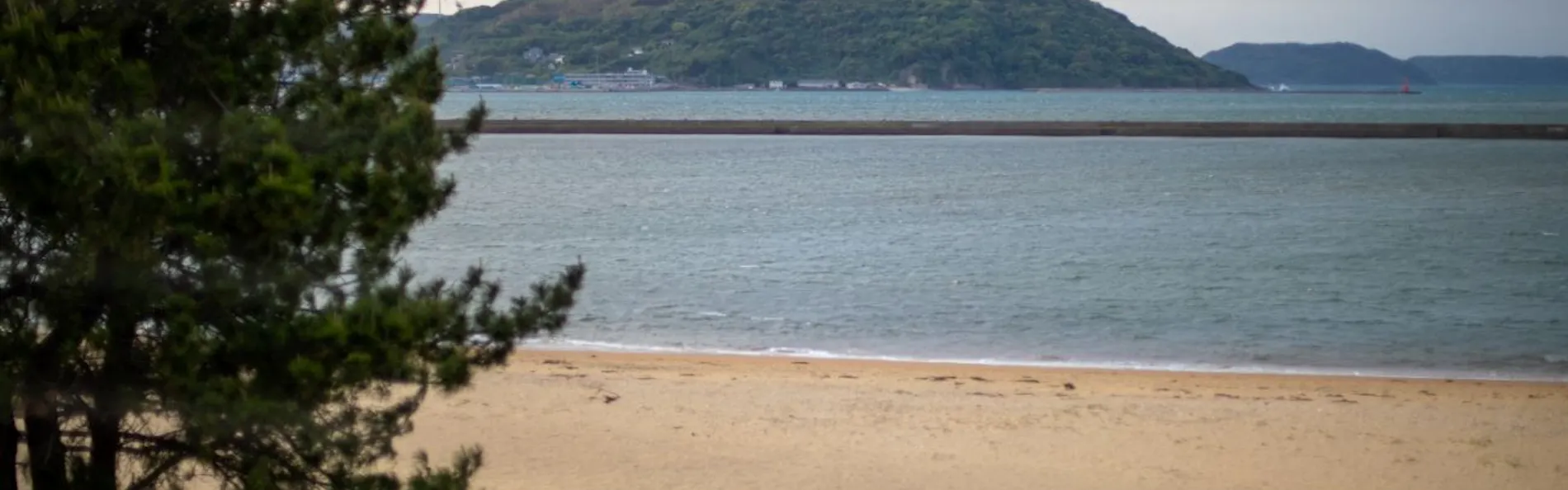 水野旅館