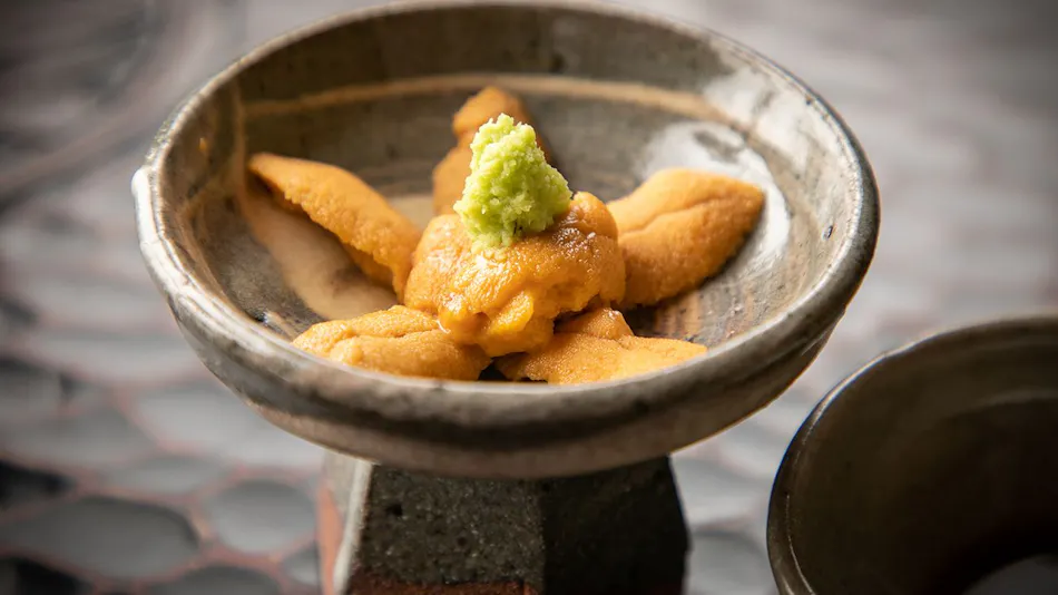 Mizuno Ryokan