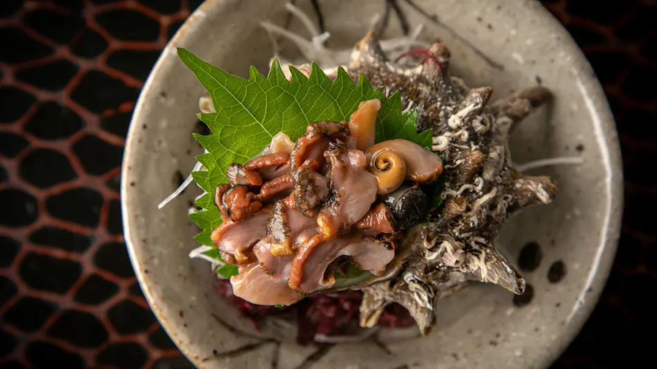 Mizuno Ryokan