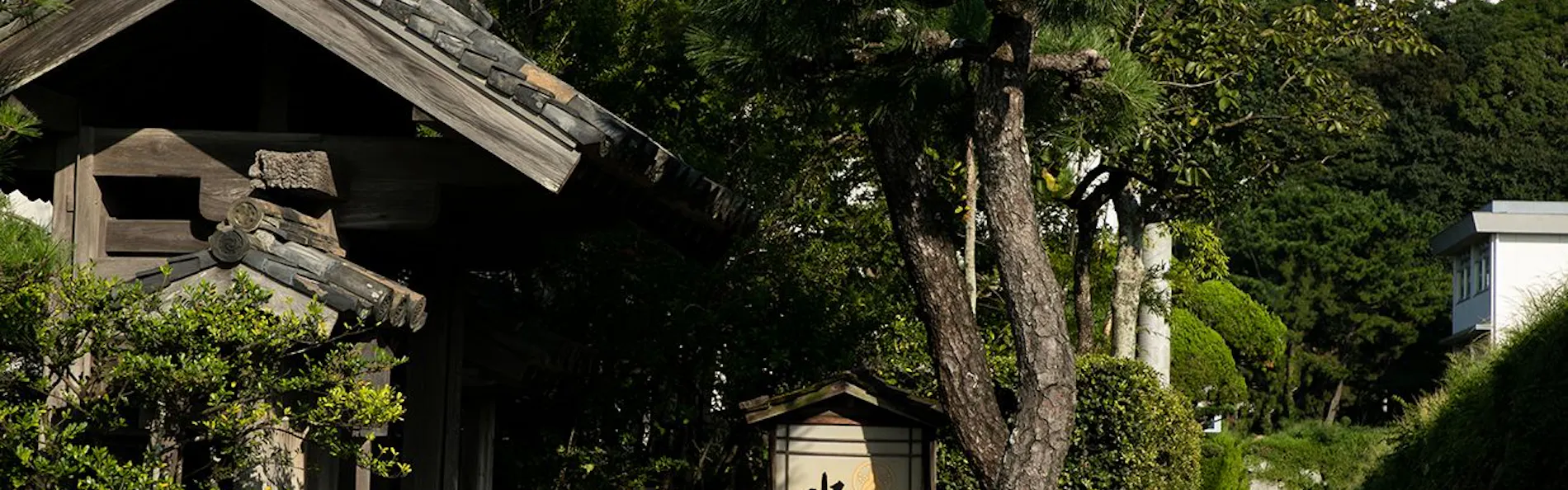 水野旅館
