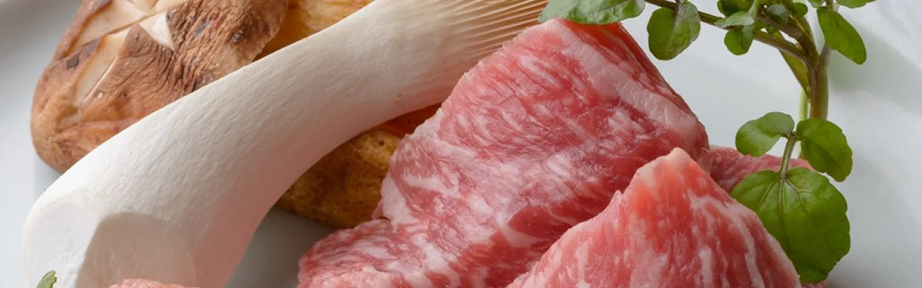 雲仙温泉 源泉かけ流し&おしどりの池を望む美食の宿 東園