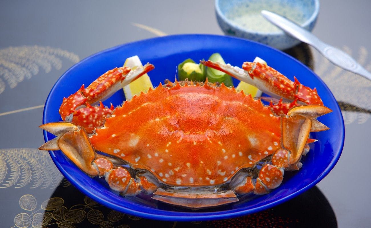 雲仙温泉 源泉かけ流し＆おしどりの池を望む美食の宿 東園