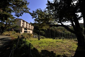 休暇村 南伊豆 の空室状況を確認する 宿泊予約は 一休 Com キラリト 休暇村 南伊豆 の空室状況を確認する 宿泊予約は 一休 Com キラリト