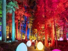 ホテルテラスザガーデン水戸