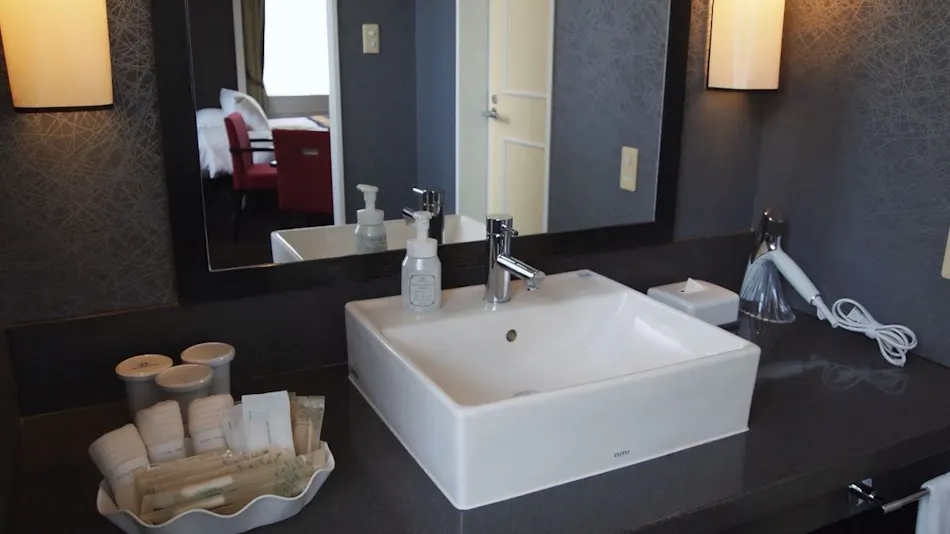 Hotel Monterey Kyoto