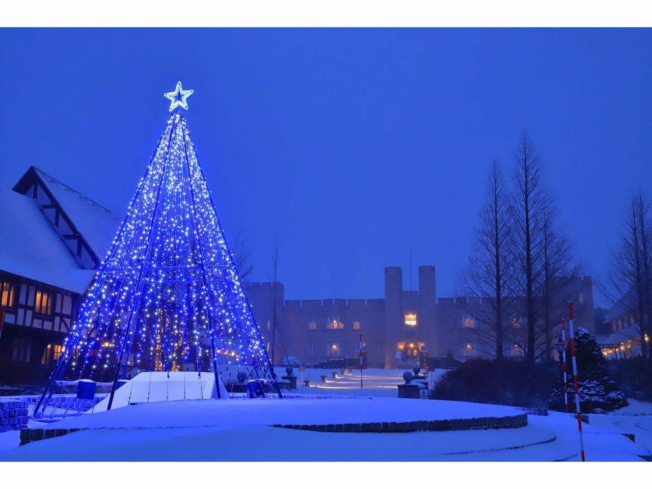 冬季イルミネーション