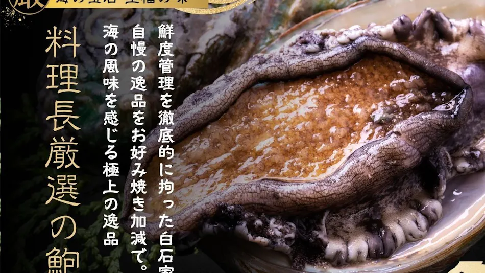 Izumo Tamatsukuri Onsen Shiraishiya