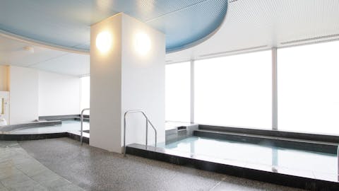 21年最新 Tdr 舞浜周辺で大浴場が人気のホテルランキング 一休 Com