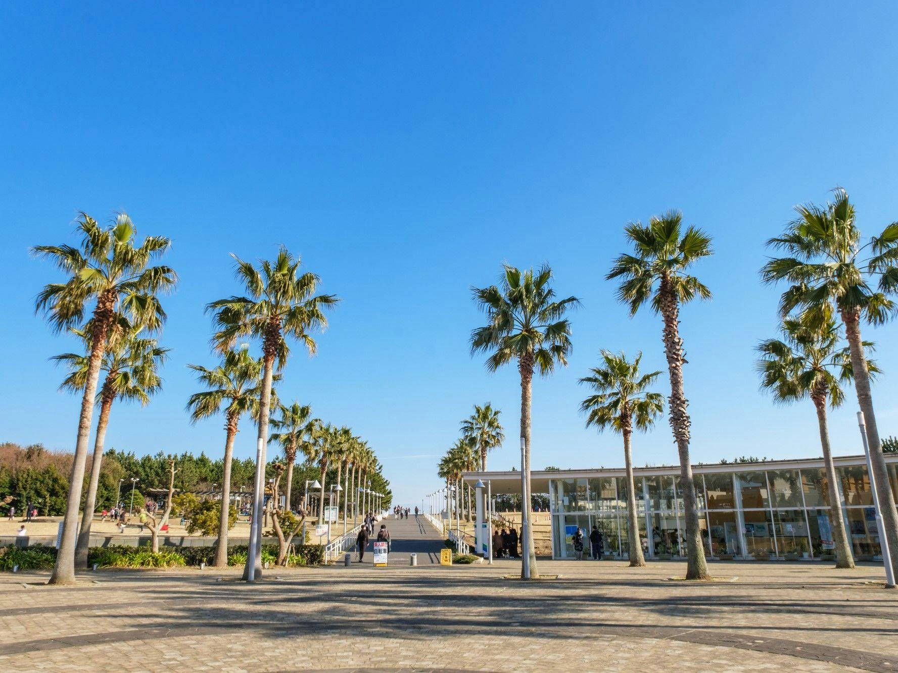 三井ガーデンホテルプラナ東京ベイ 宿泊予約なら Yahoo トラベル