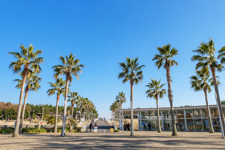 三井ガーデンホテルプラナ東京ベイ 宿泊予約なら Yahoo トラベル 三井ガーデンホテルプラナ東京ベイ 宿泊予約なら Yahoo トラベル