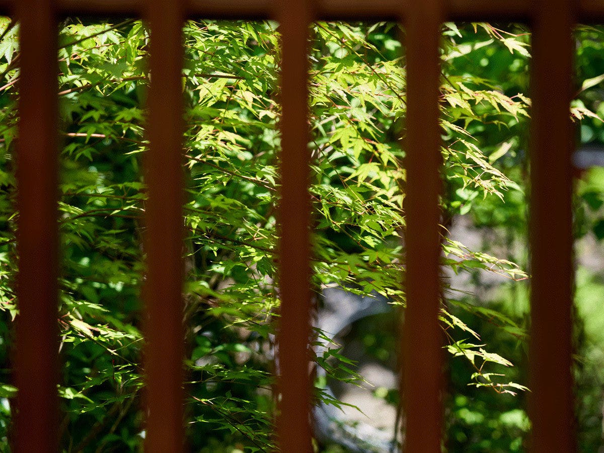 離れ宿　山咲