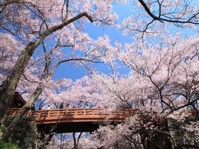 ホテルアンビエント蓼科