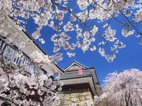 ホテルアンビエント蓼科