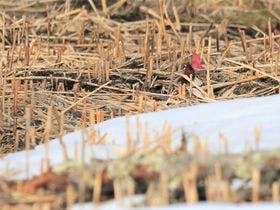 ホテルアンビエント蓼科