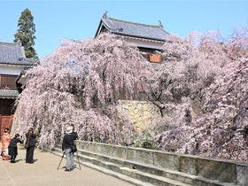 ホテルアンビエント蓼科