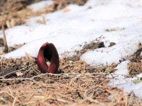 ホテルアンビエント蓼科