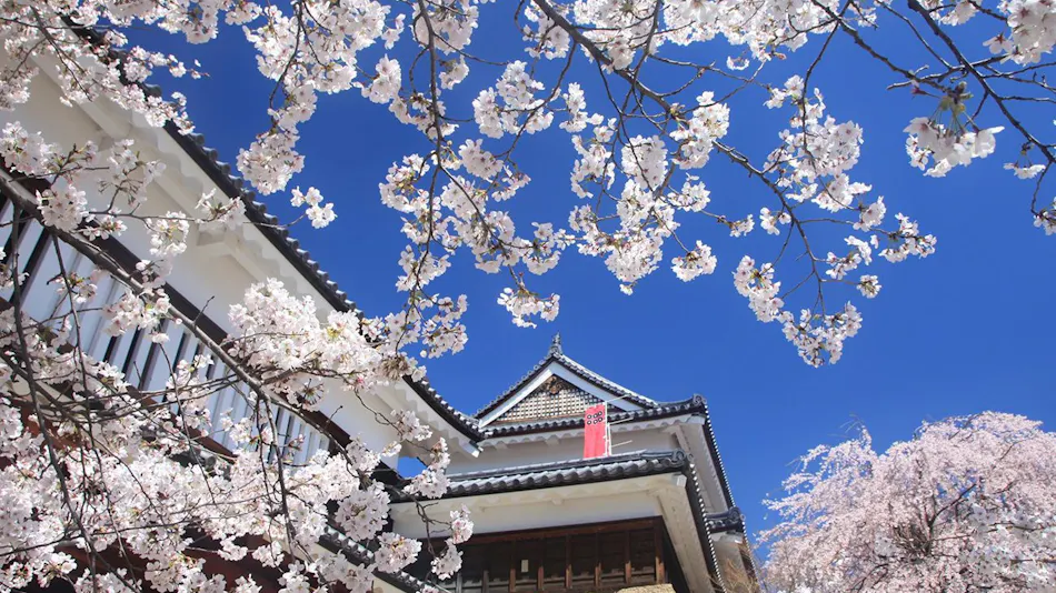 Izumigo, Ambient Tateshina Hotel