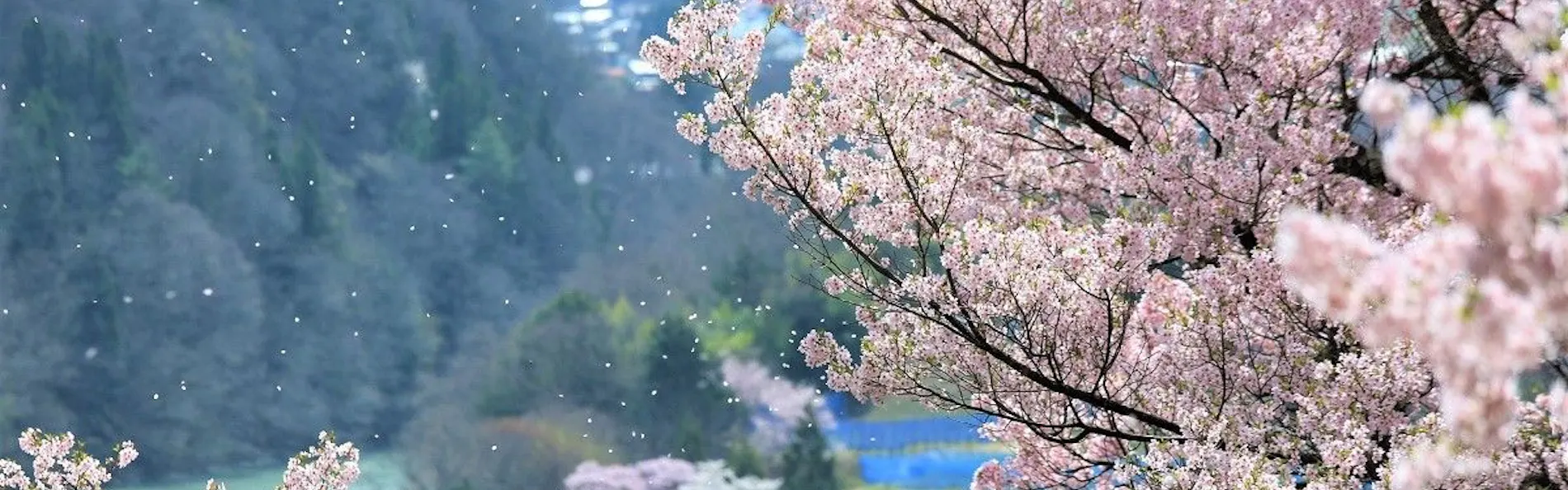 蓼科レイクリゾート(旧:AMBIENT蓼科ホテル)