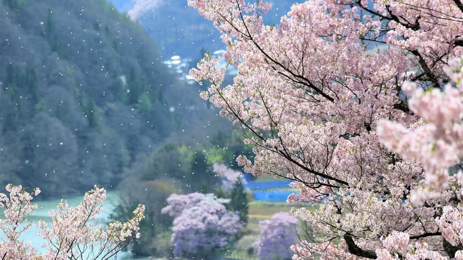 Izumigo, Ambient Tateshina Hotel