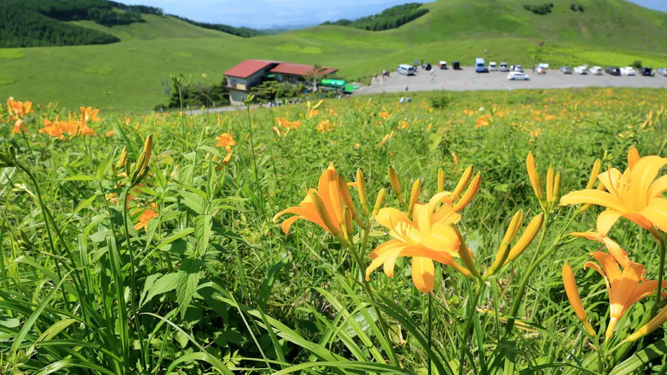 Izumigo, Ambient Tateshina Hotel