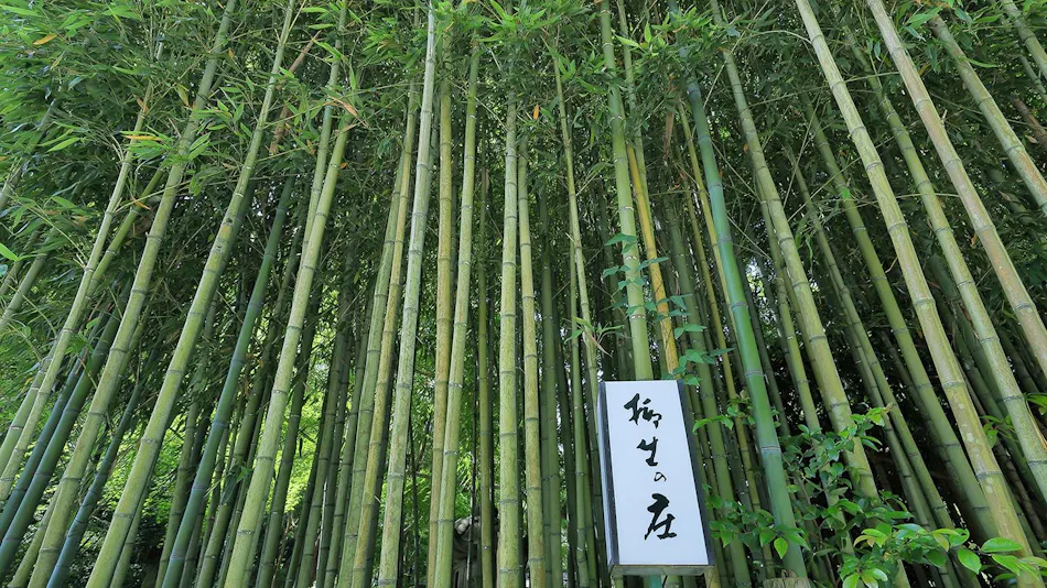 Yagyu no Sho