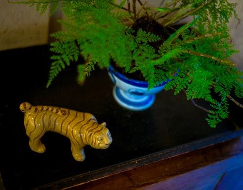 ■真朱■リビング