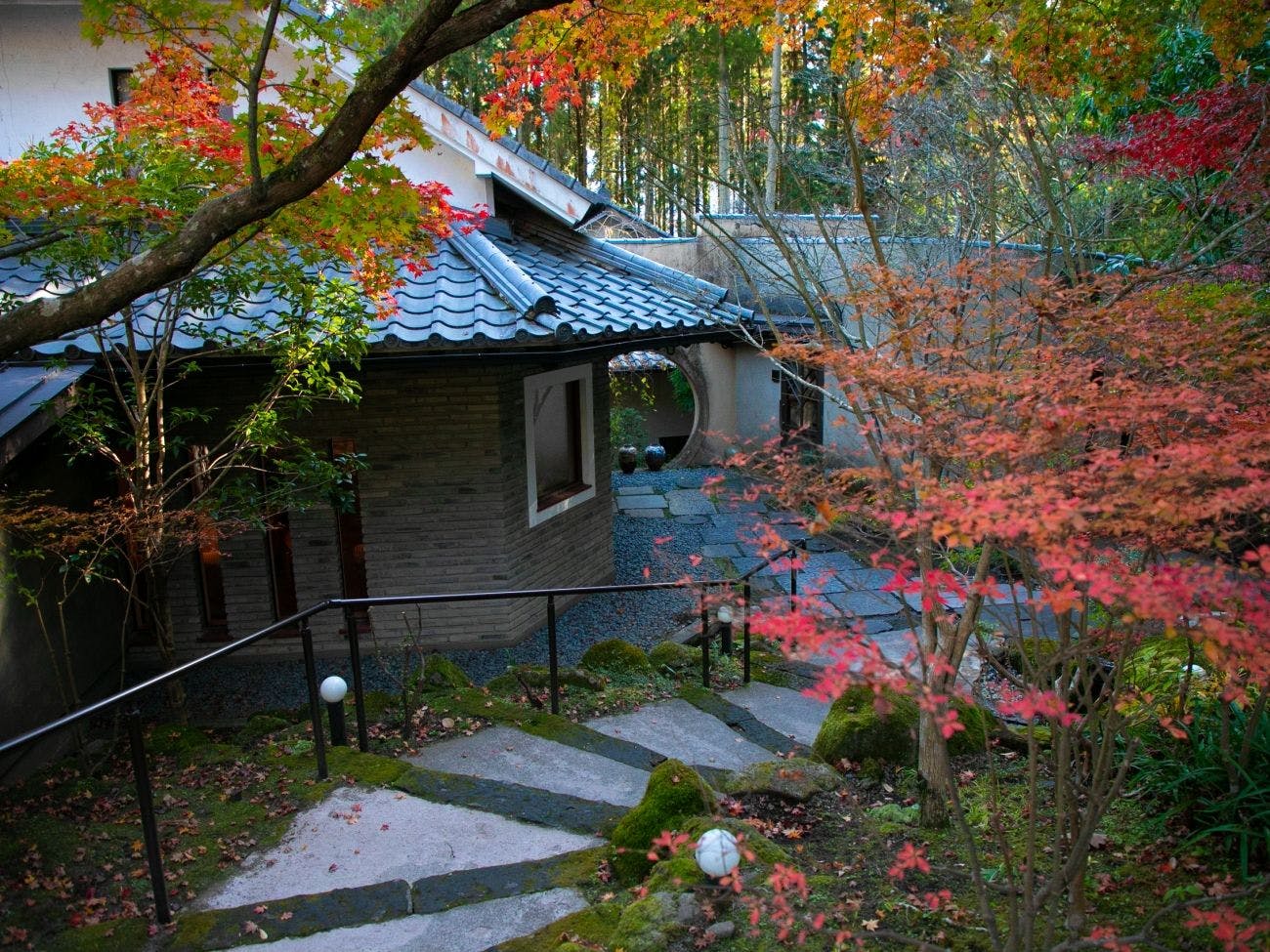 Taman pohon yang meredakan kelelahan perjalanan