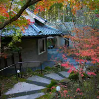 Taman pohon yang meredakan kelelahan perjalanan