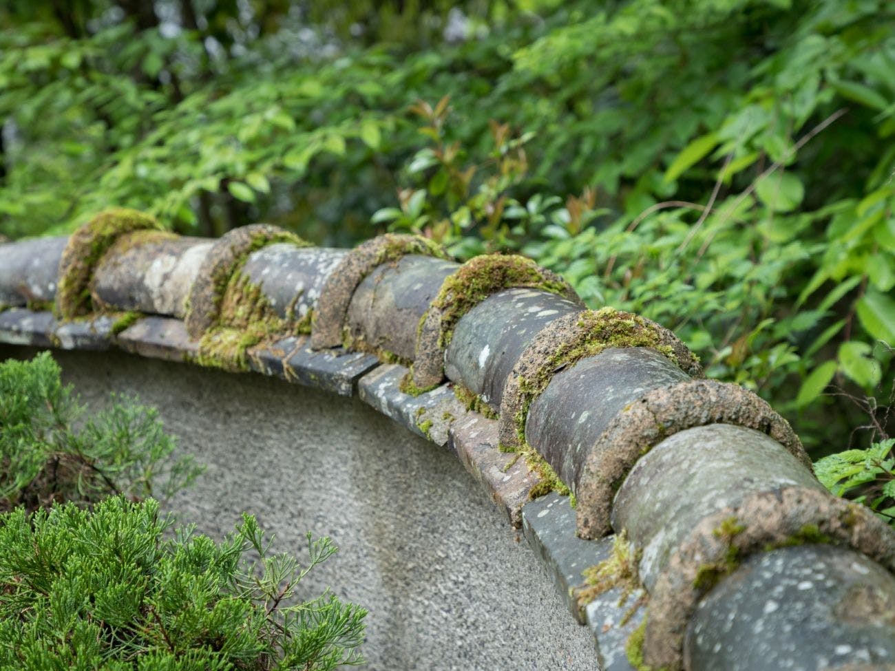 由布院温泉　湯富里の宿　一壷天