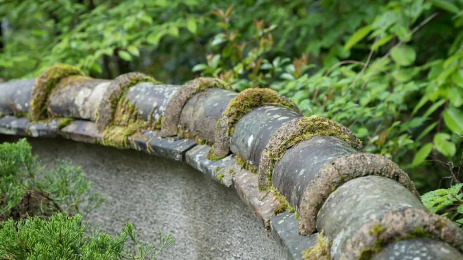 Yufuin Onsen Yutori no Yado Ikkoten