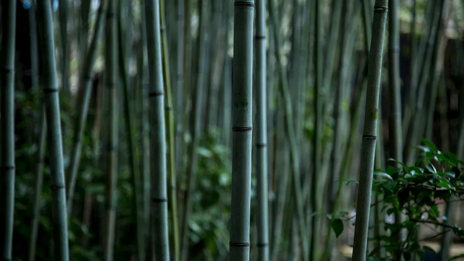 Mouhitotu no kyoto Ujosoan