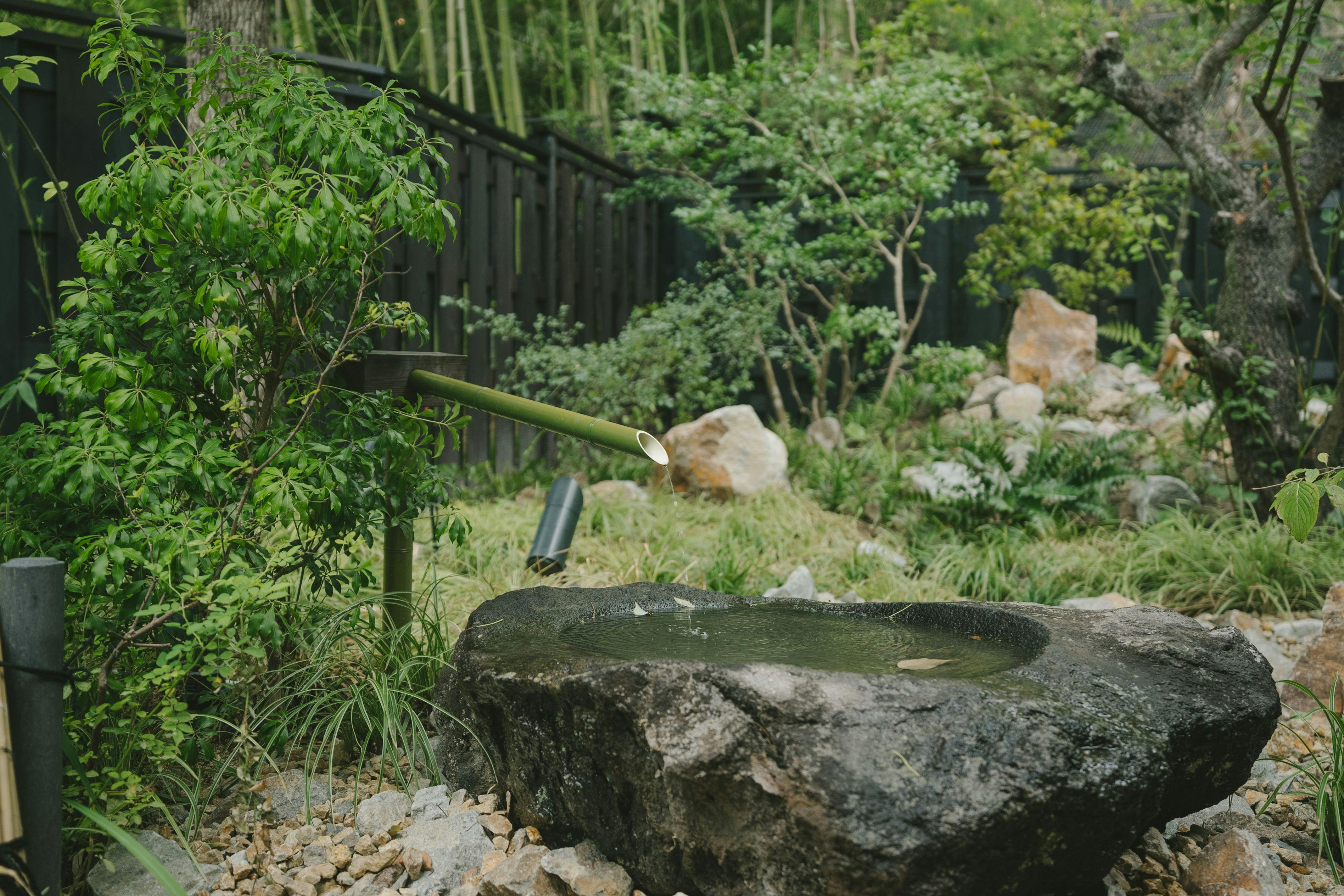 もう一つの京都 雨情草庵 - 【冬】タグ付き活松葉蟹二杯を蟹しゃぶとお