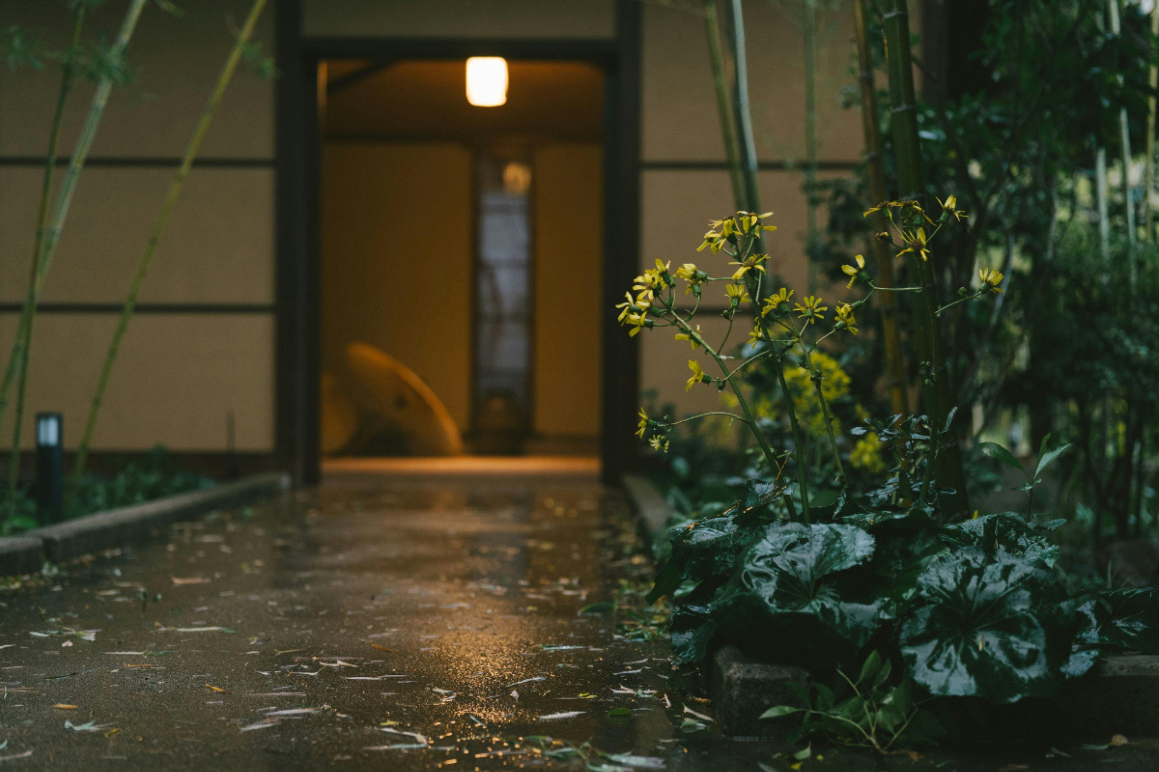 もう一つの京都 雨情草庵