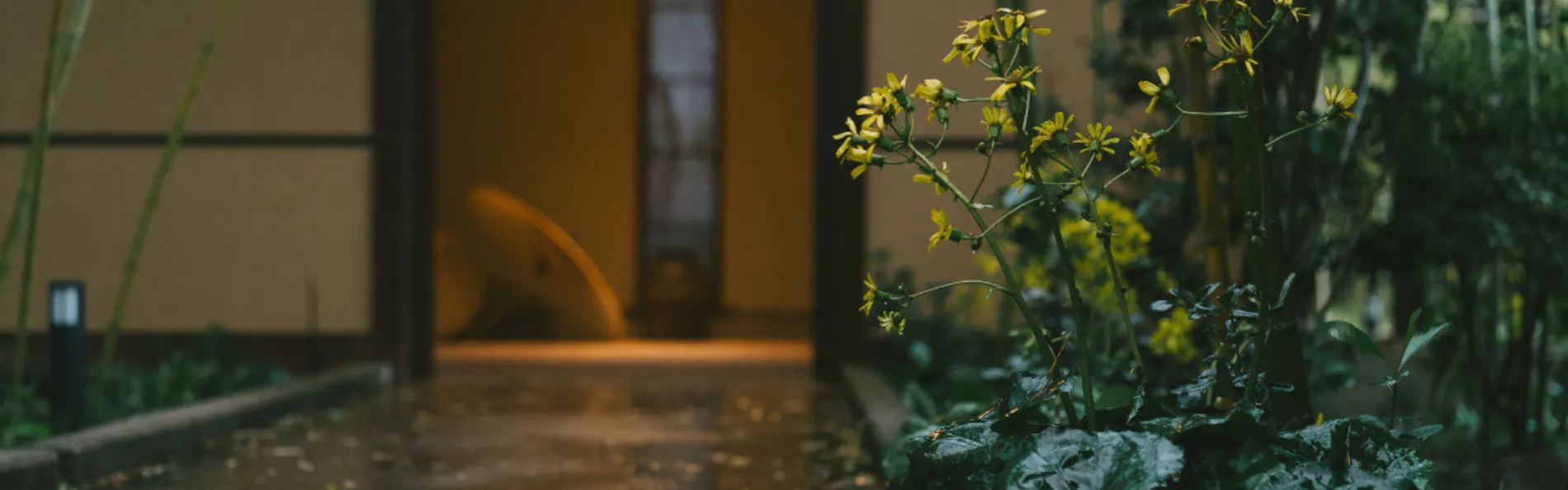 もう一つの京都 雨情草庵