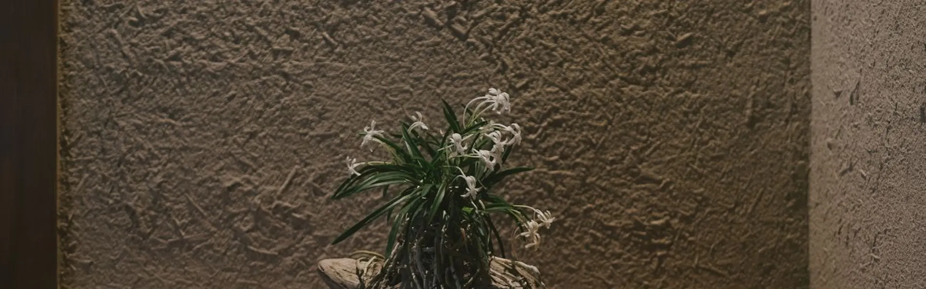 もう一つの京都 雨情草庵