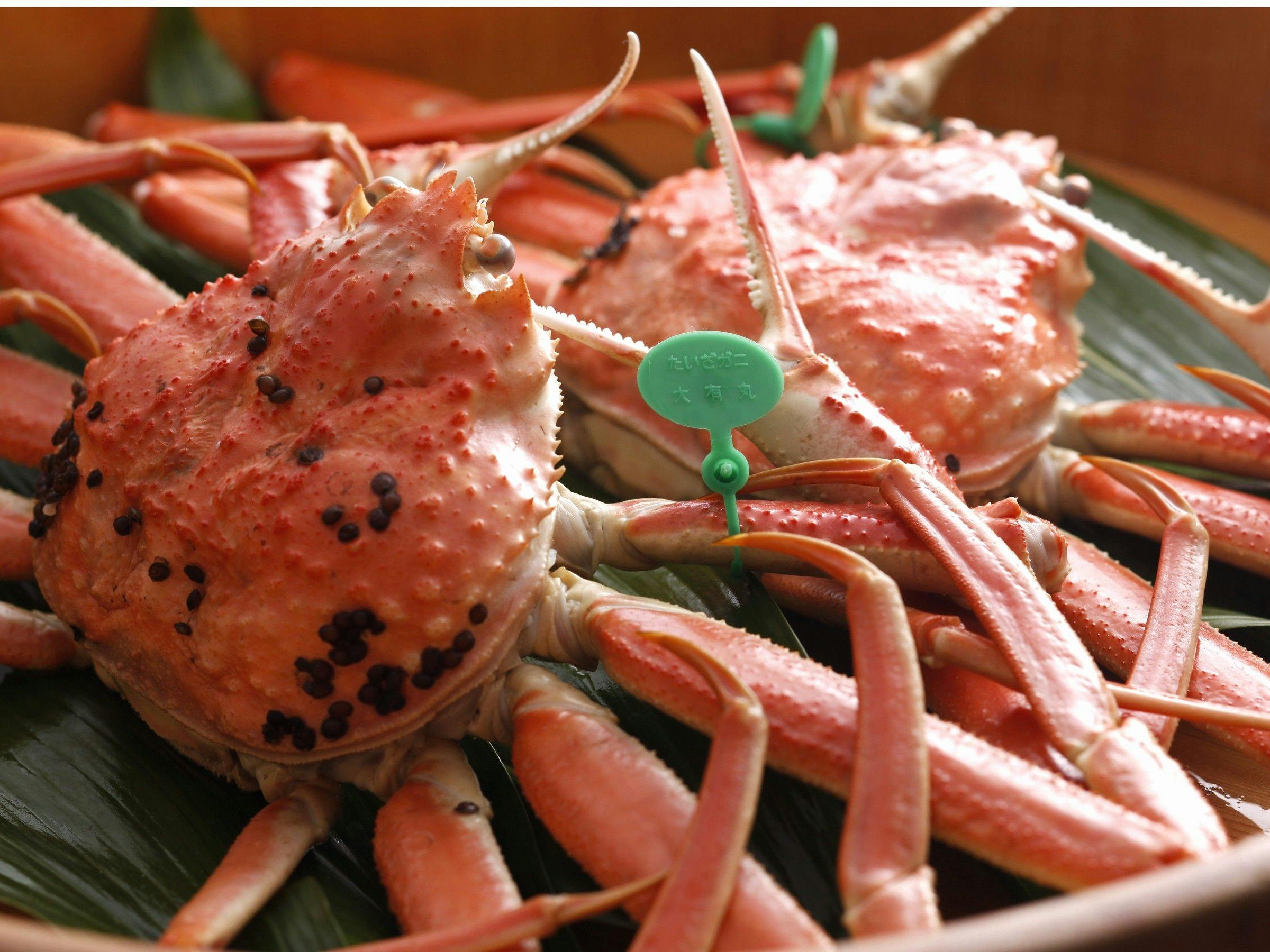 浜辺の宿 海の華の宿で カニ をご紹介 最上のひとときをどうぞ 一休 Com